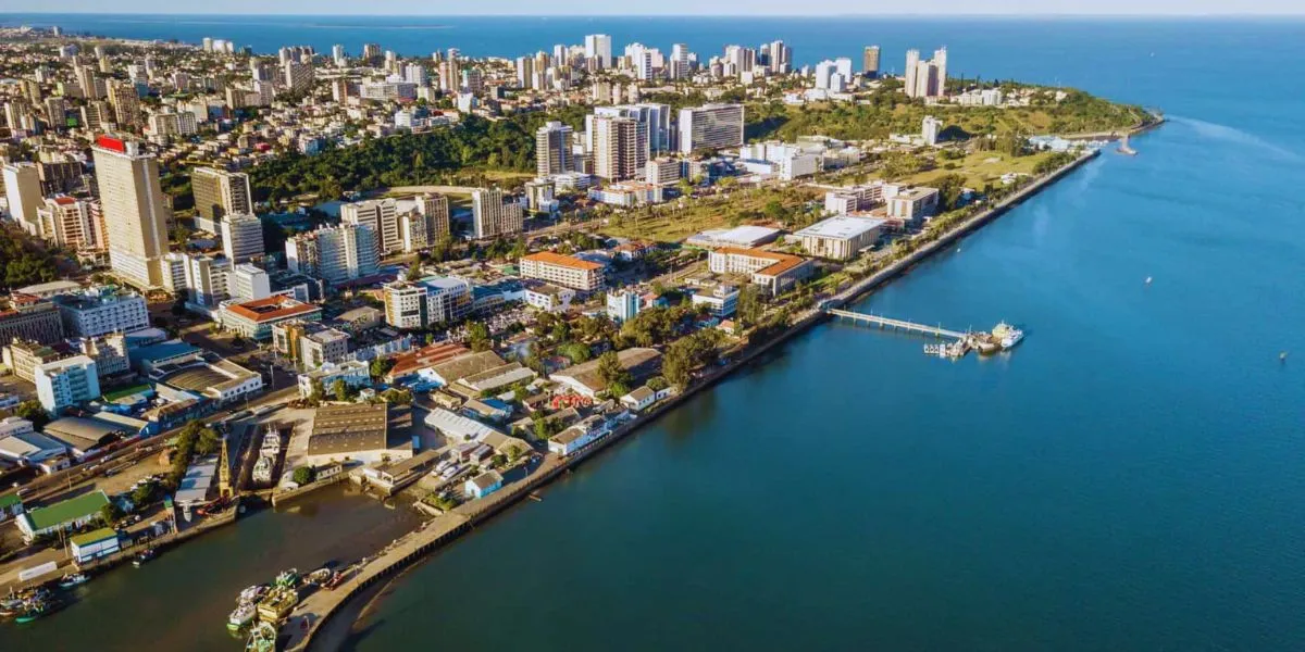 Sanidade animal em debate na capital com foco em saúde pública